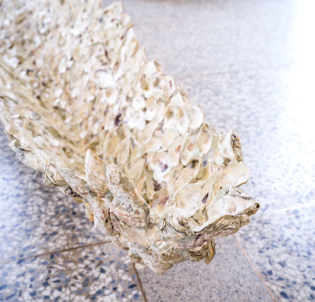 貝殻の舟―シラヤ、神話を紡ぐ The Ship of Shells – Siraya, Weaving Myth